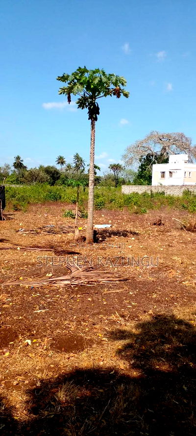 1 1/2 Acre Plot on Sale in Galu Beach. - Image 3