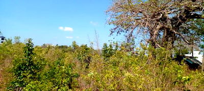 1 1/2 Acre Plot on Sale in Galu Beach. - Image 9