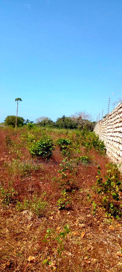 1 1/2 Acre Plot on Sale in Galu Beach. - Image 6