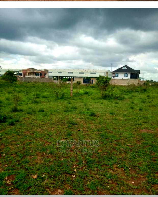 40 by 80 Plot Tola Estate Juja