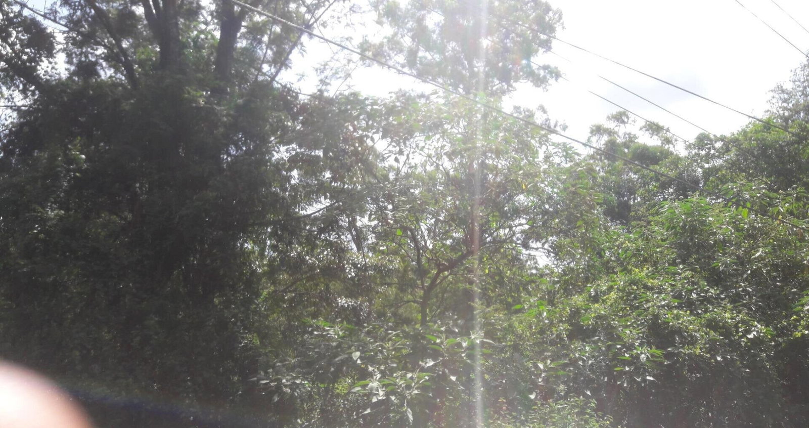 3/4 Acre Commercial Plot in Westlands