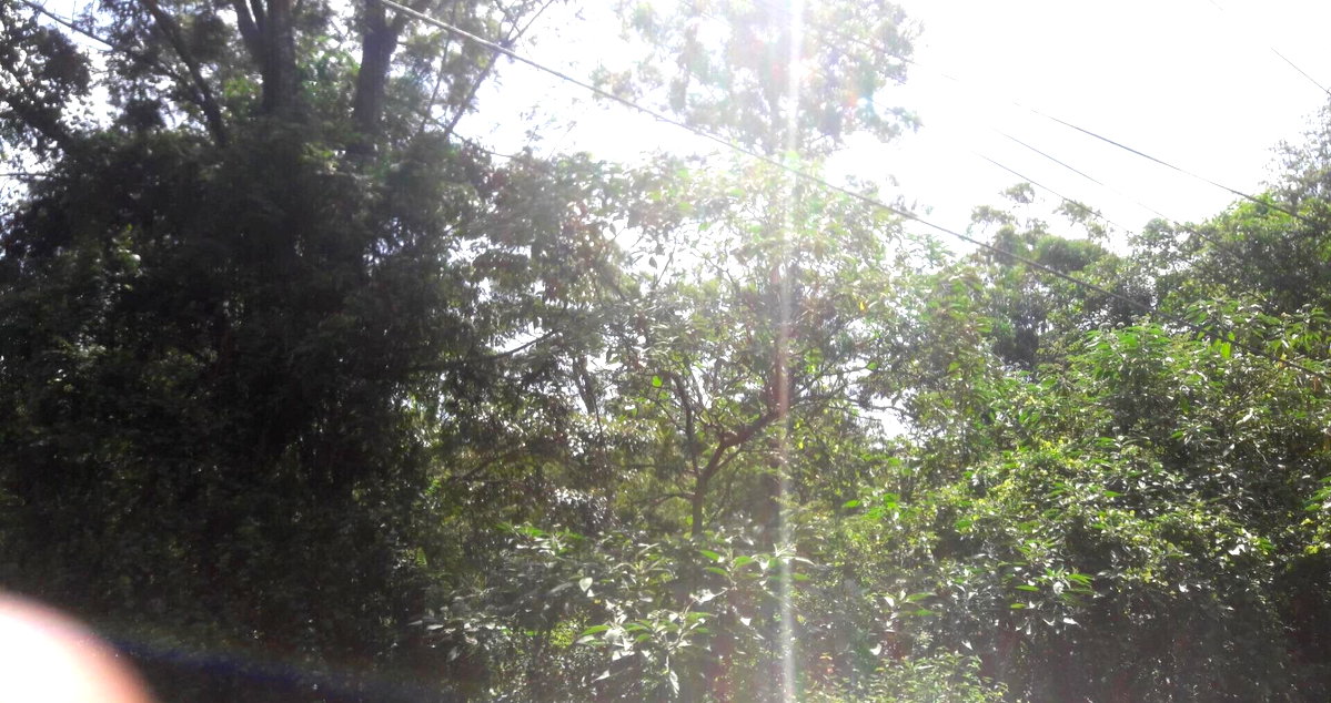 3/4 Acre Commercial Plot in Westlands