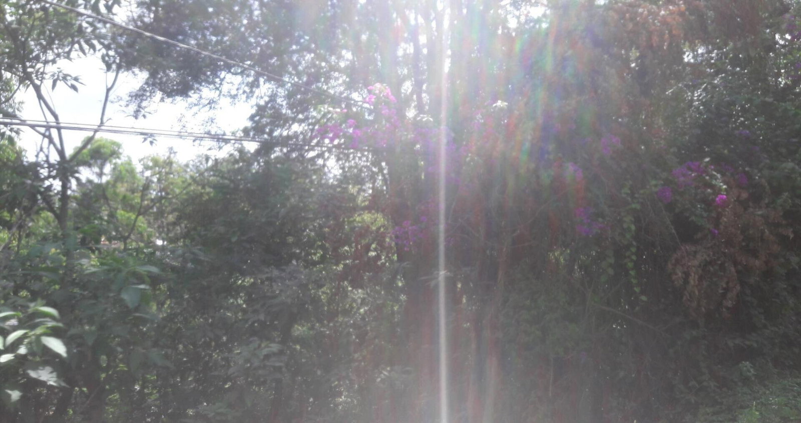 3/4 Acre Commercial Plot in Westlands