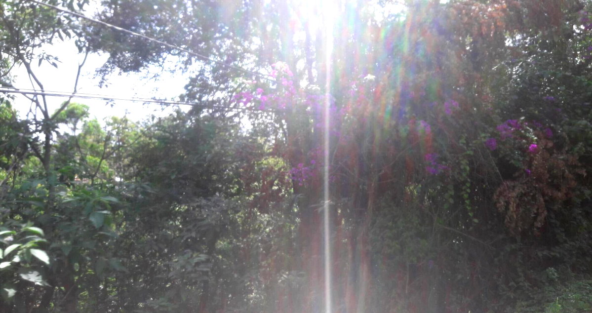 3/4 Acre Commercial Plot in Westlands