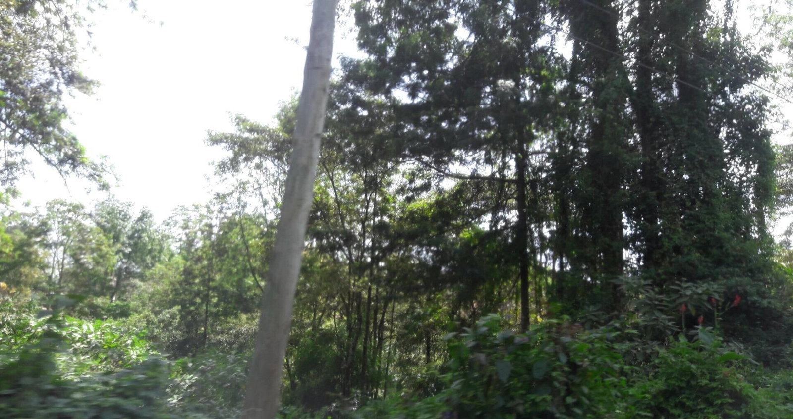 3/4 Acre Commercial Plot in Westlands