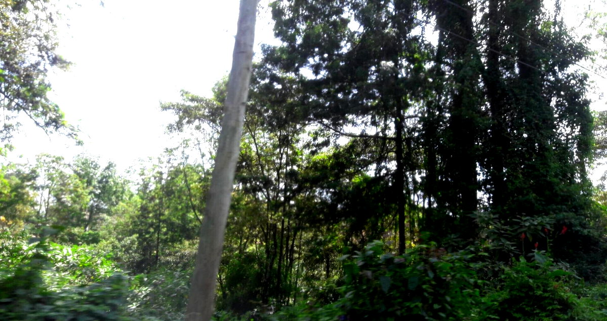 3/4 Acre Commercial Plot in Westlands