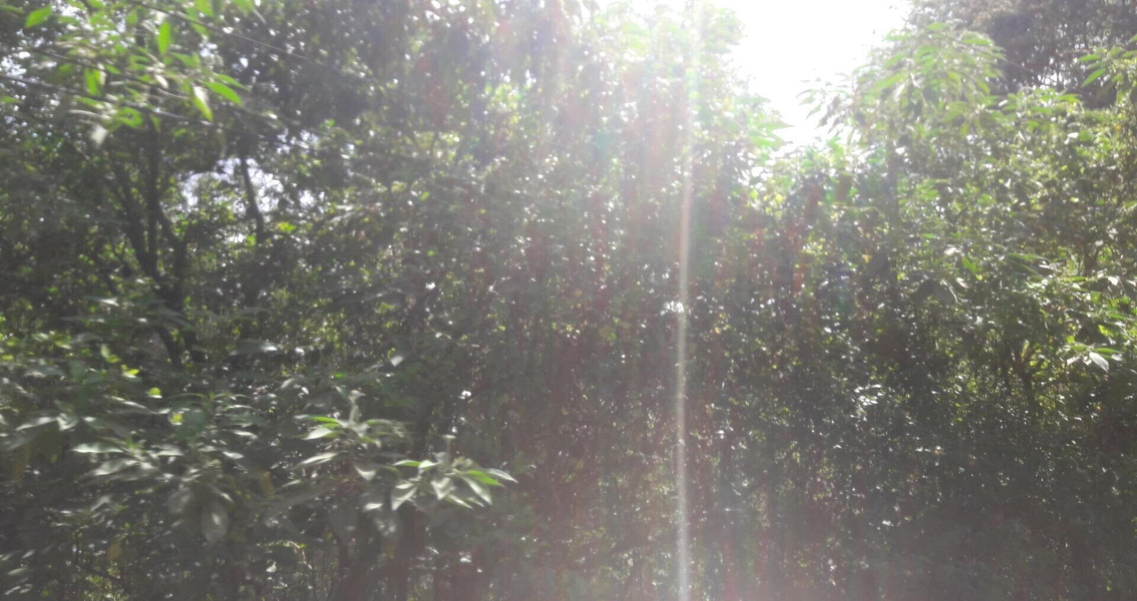 3/4 Acre Commercial Plot in Westlands