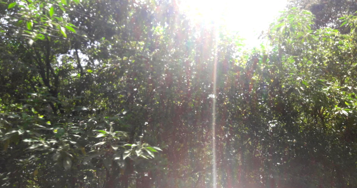 3/4 Acre Commercial Plot in Westlands