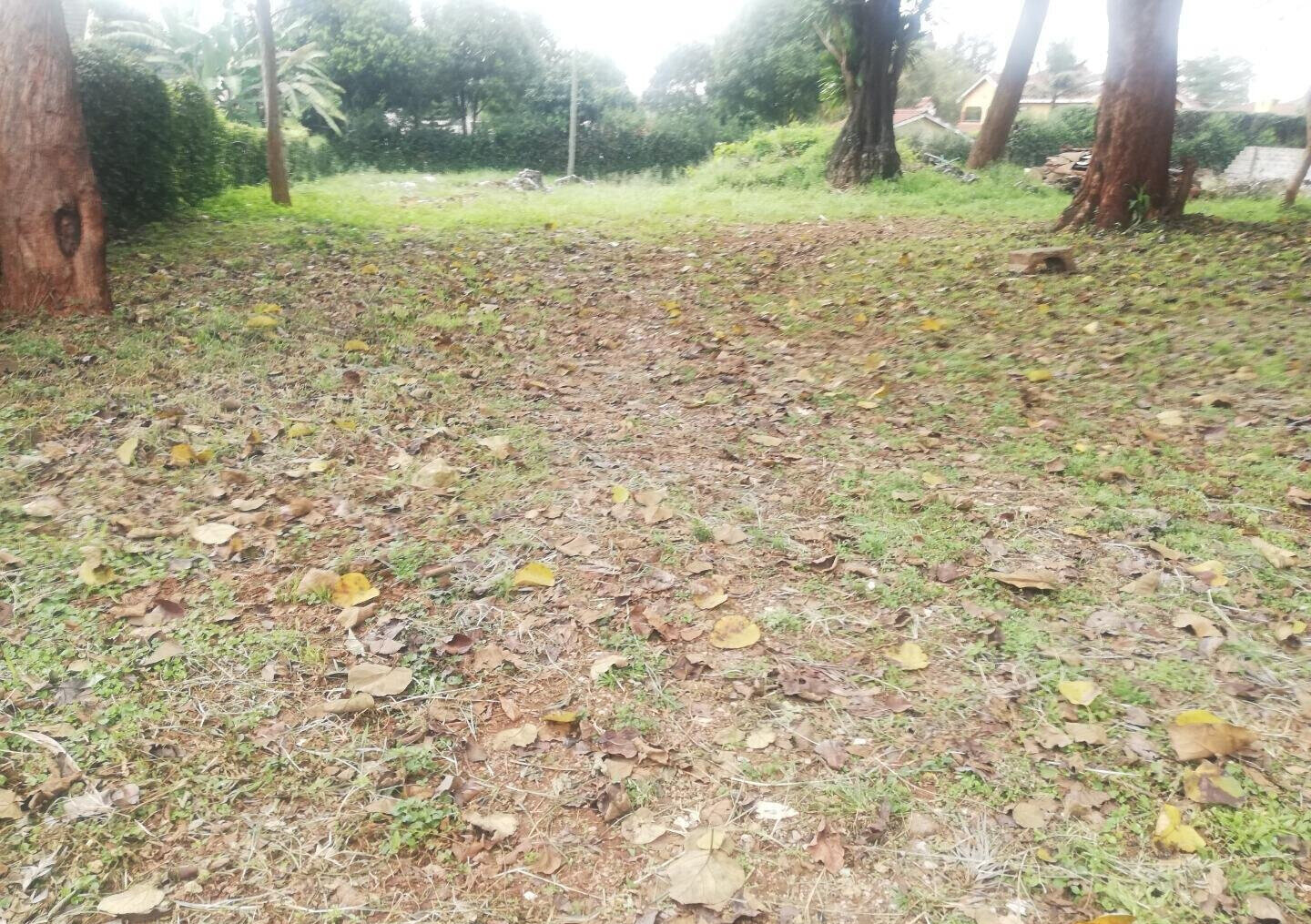 3/4 Acre Runda Garden Plot