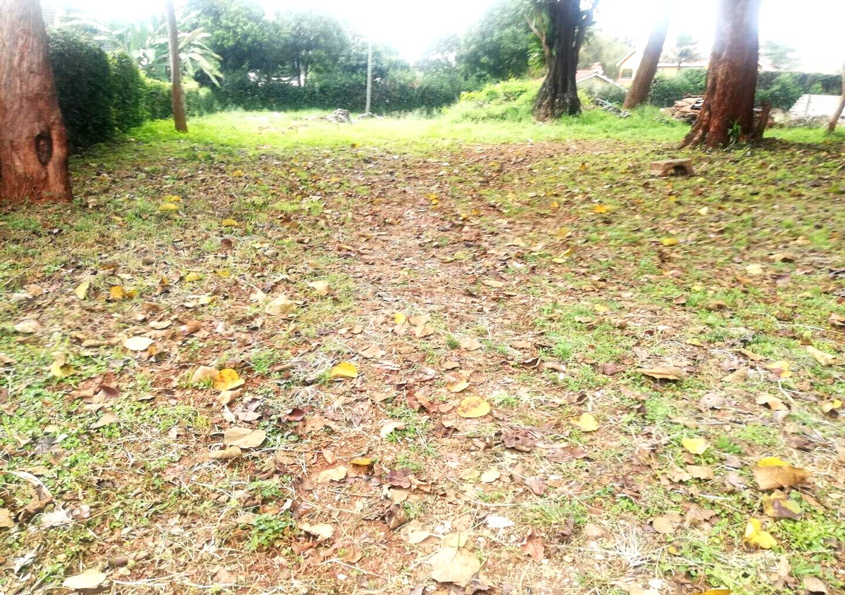 3/4 Acre Runda Garden Plot