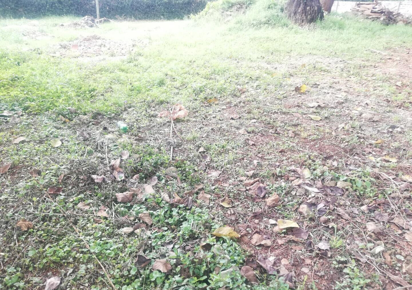3/4 Acre Runda Garden Plot