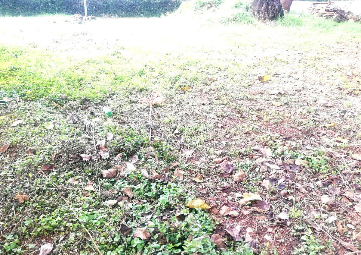 3/4 Acre Runda Garden Plot