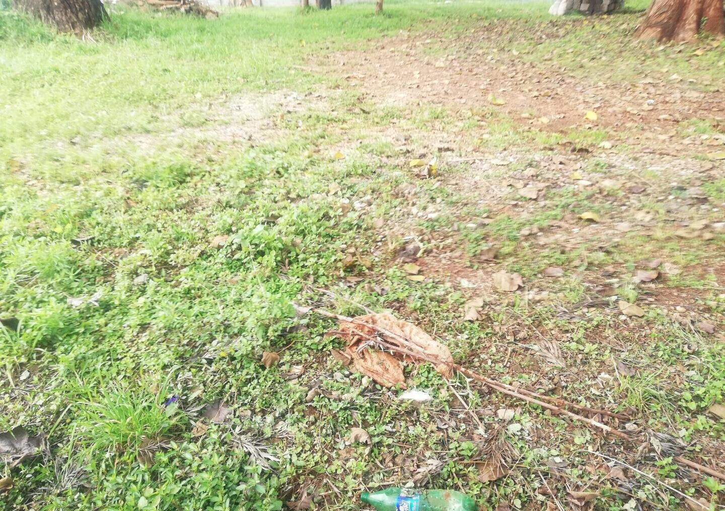 3/4 Acre Runda Garden Plot