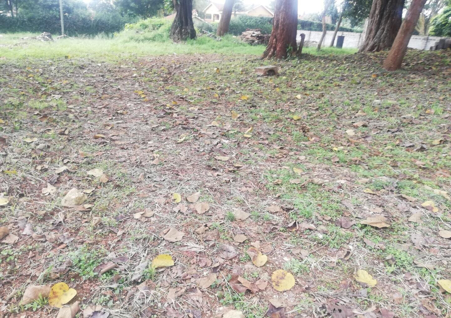 3/4 Acre Runda Garden Plot