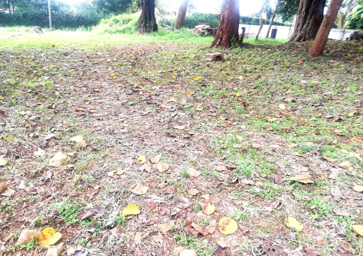 3/4 Acre Runda Garden Plot