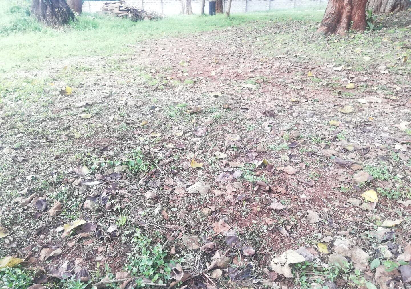 3/4 Acre Runda Garden Plot