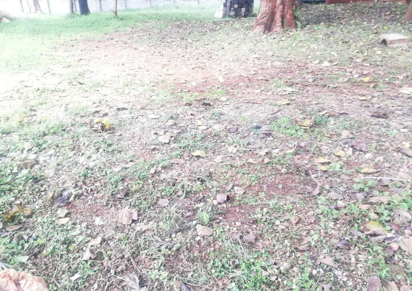 3/4 Acre Runda Garden Plot