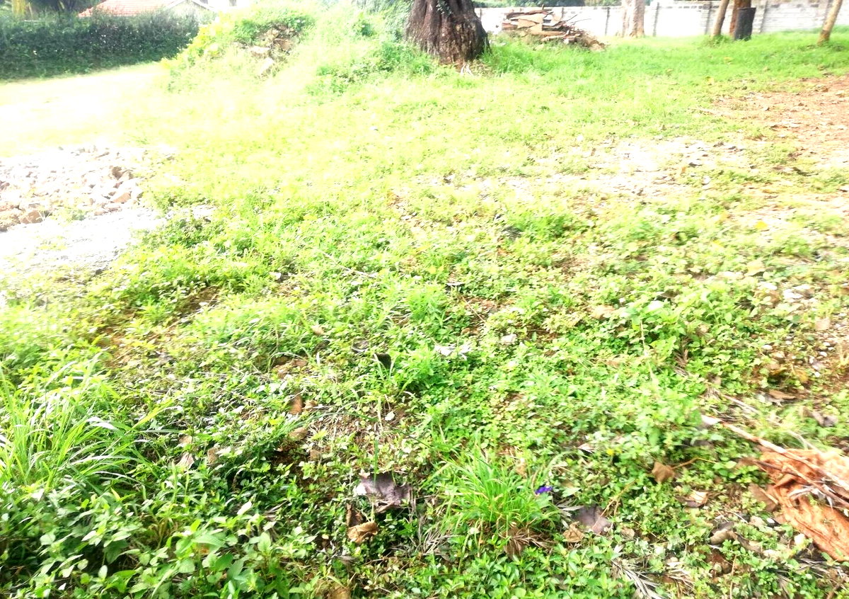 3/4 Acre Runda Garden Plot