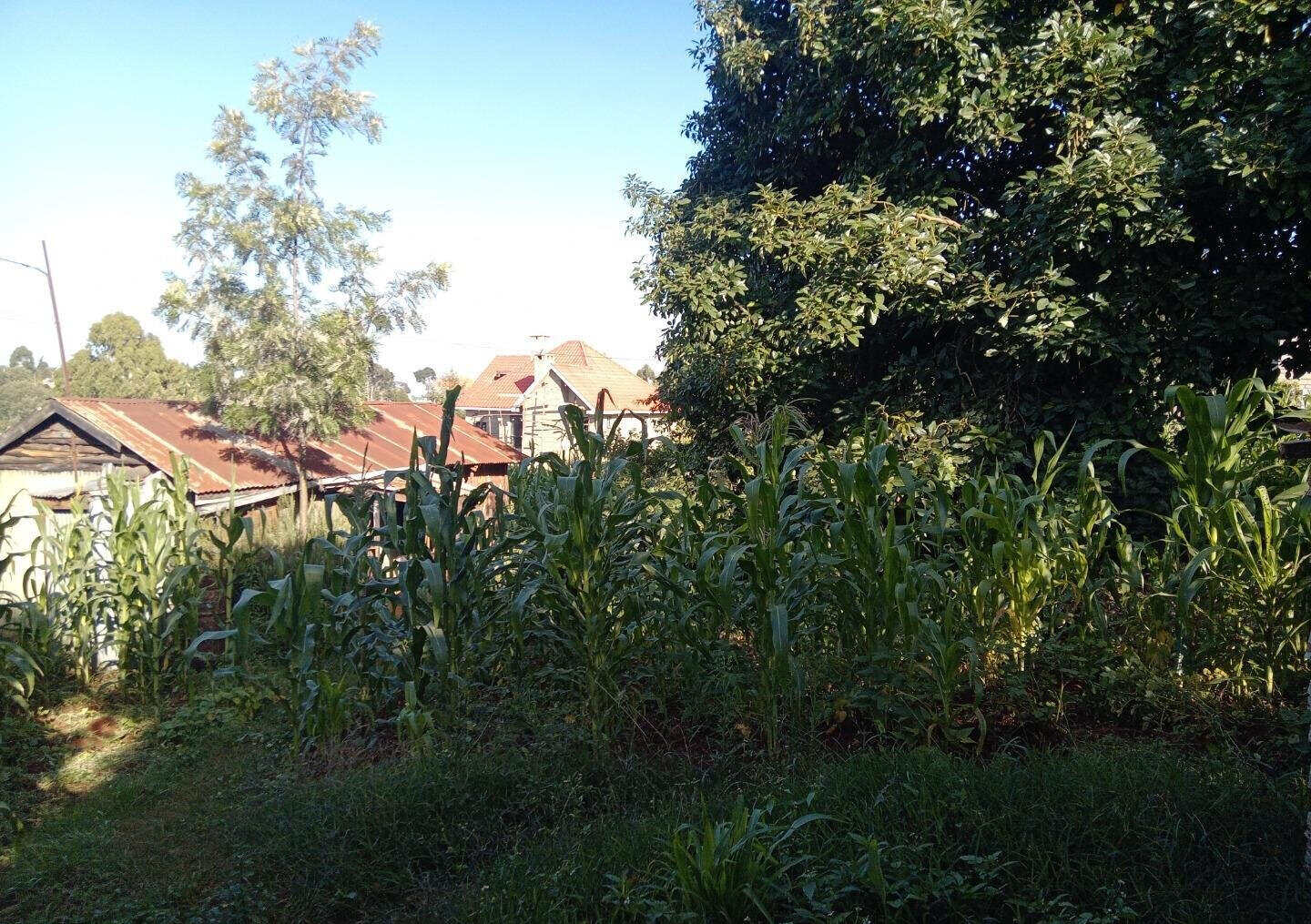 Garden Plot with Parking for KSh 4.5M