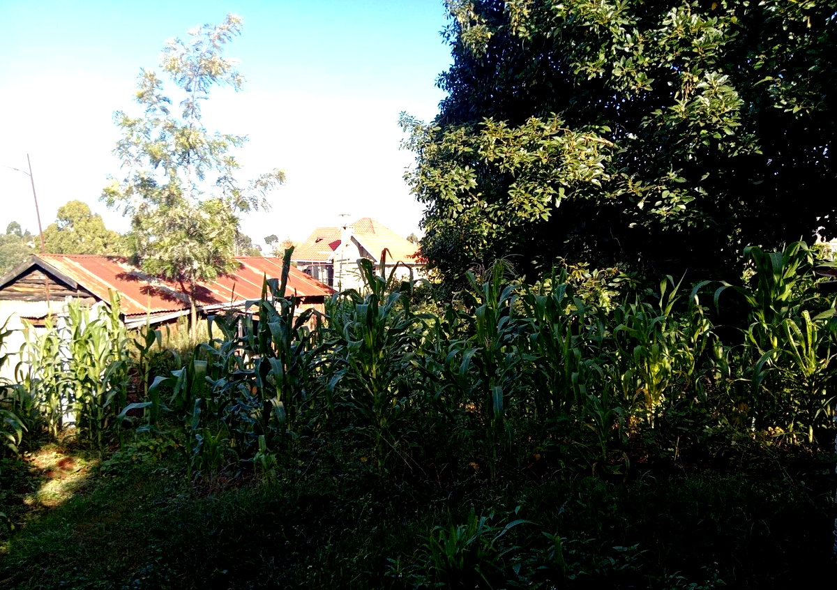Garden Plot with Parking for KSh 4.5M