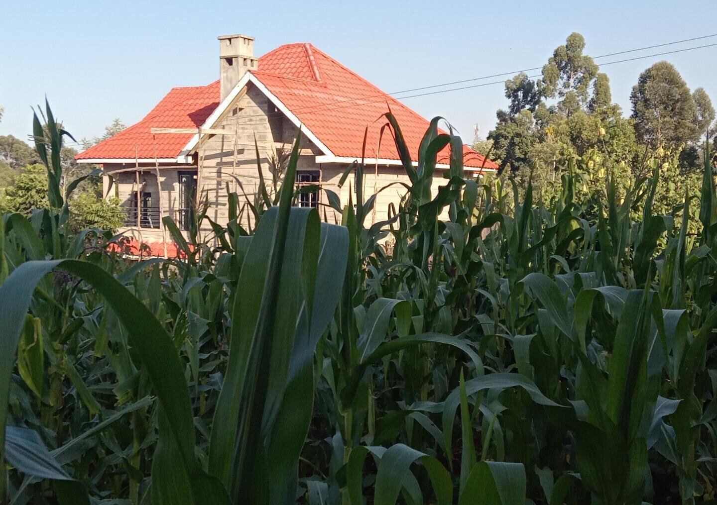Garden Plot with Parking for KSh 4.5M