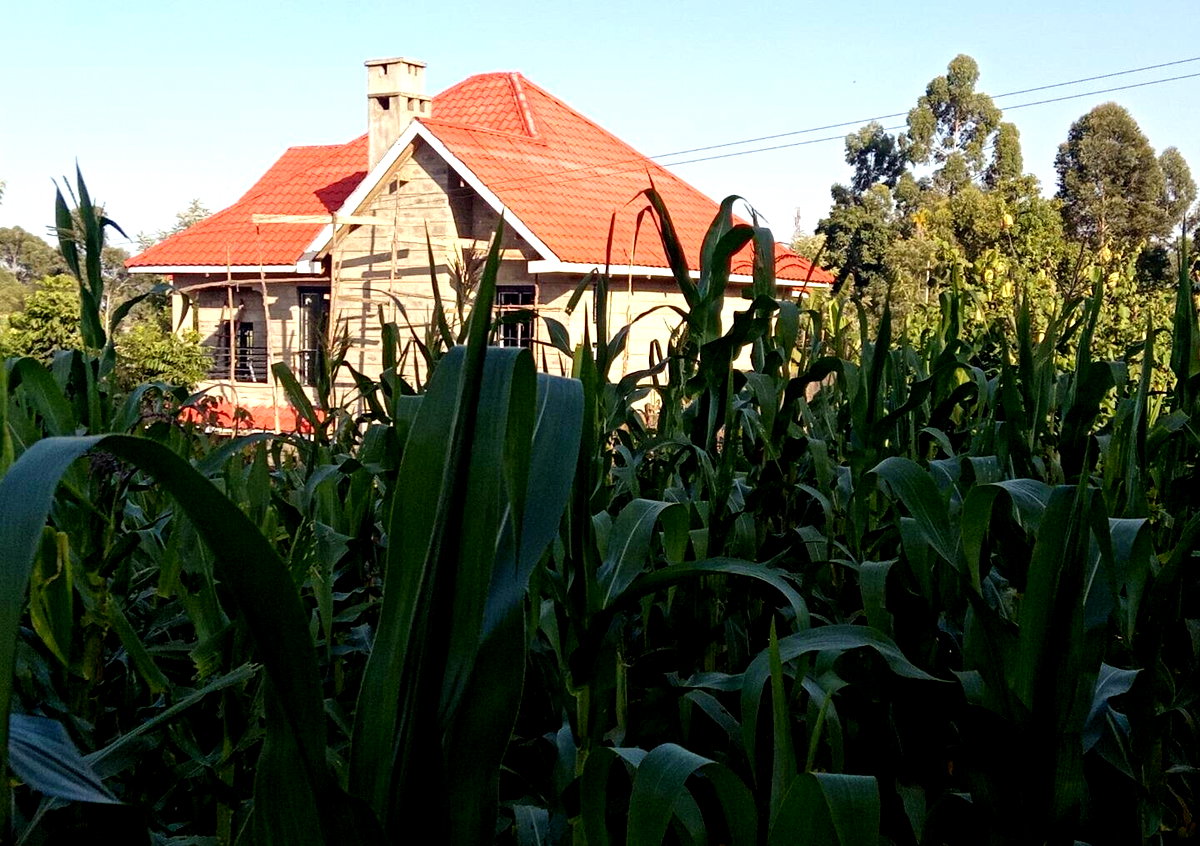 Garden Plot with Parking for KSh 4.5M