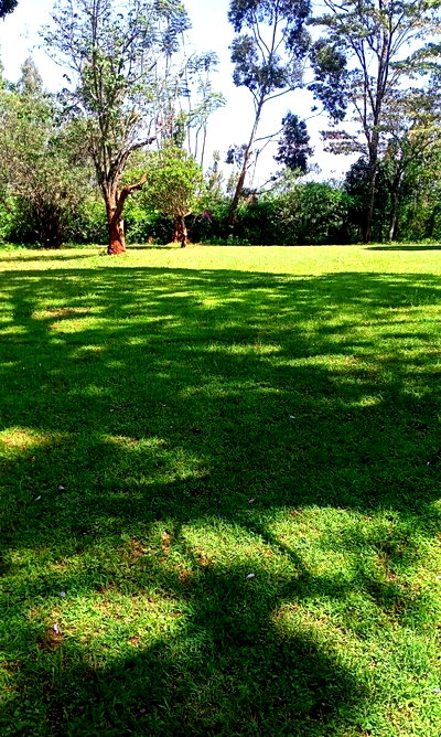 20-Acre Garden Estate for Sale