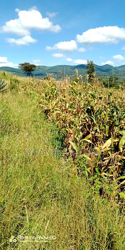 Half an Acre of Land for Sale in Kiserian - Image 10