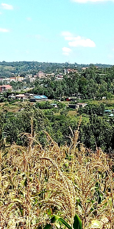 Half an Acre of Land for Sale in Kiserian - Image 7