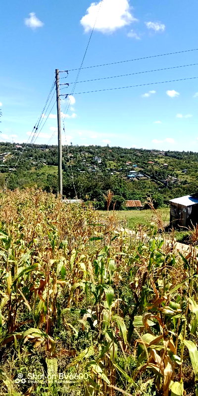 Half an Acre of Land for Sale in Kiserian - Image 14