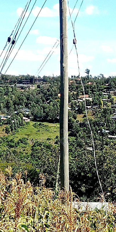 Half an Acre of Land for Sale in Kiserian - Image 6