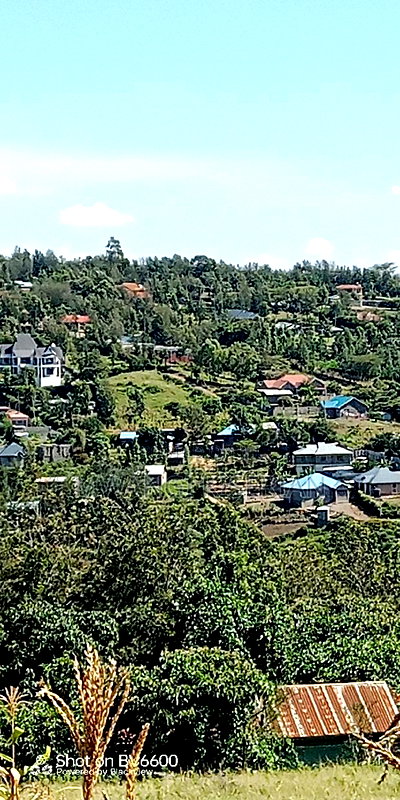 Half an Acre of Land for Sale in Kiserian - Image 5