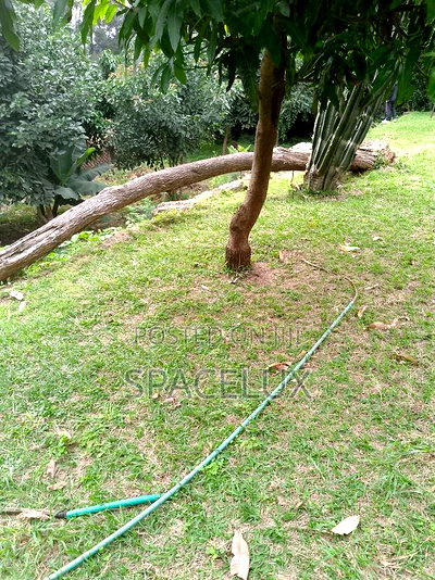 Land for Sale 0.4acres - Image 1