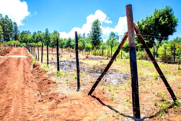 Prime Residential Plot for Sale in Kikuyu, Gikambura - Jambu