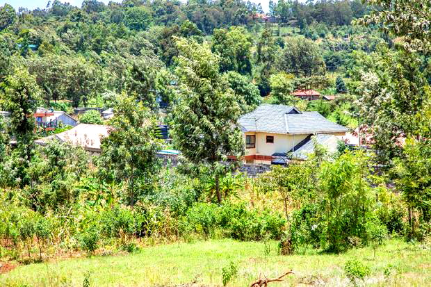 Prime Residential Plot for Sale in Kikuyu, Gikambura - Jambu