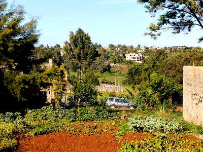 50*100 Residential Plot on Sale at Ruiru Ukombozi at 5.2M - Image 4