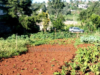 50*100 Residential Plot on Sale at Ruiru Ukombozi at 5.2M - Image 6