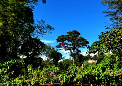 10-Acre Plot in Banana, Kiambu