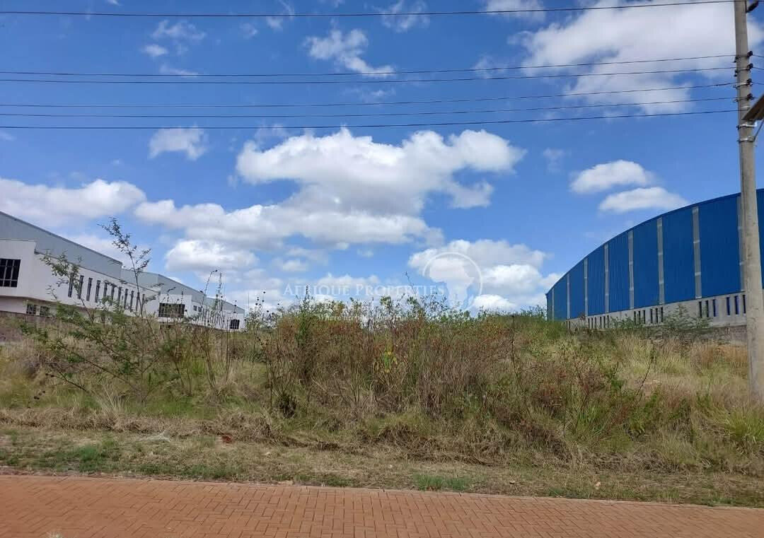 1 Acre Commercial Plot in Tatu City