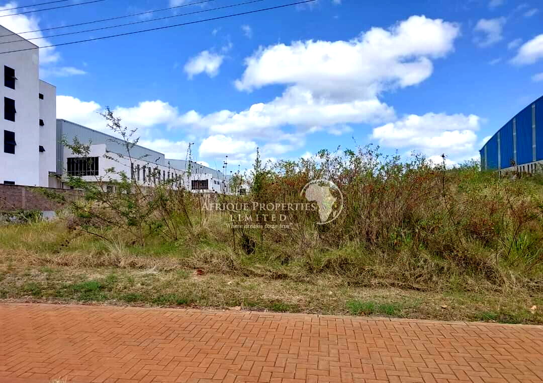 1 Acre Commercial Plot in Tatu City