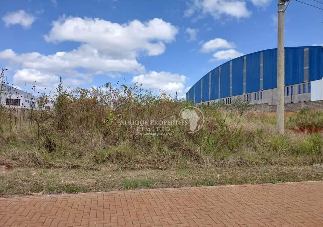 1 Acre Commercial Plot in Tatu City