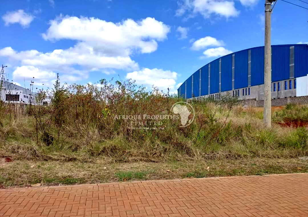 1 Acre Commercial Plot in Tatu City