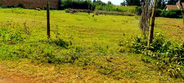 1/4 Plot Kimumu Ideal for Rental.
