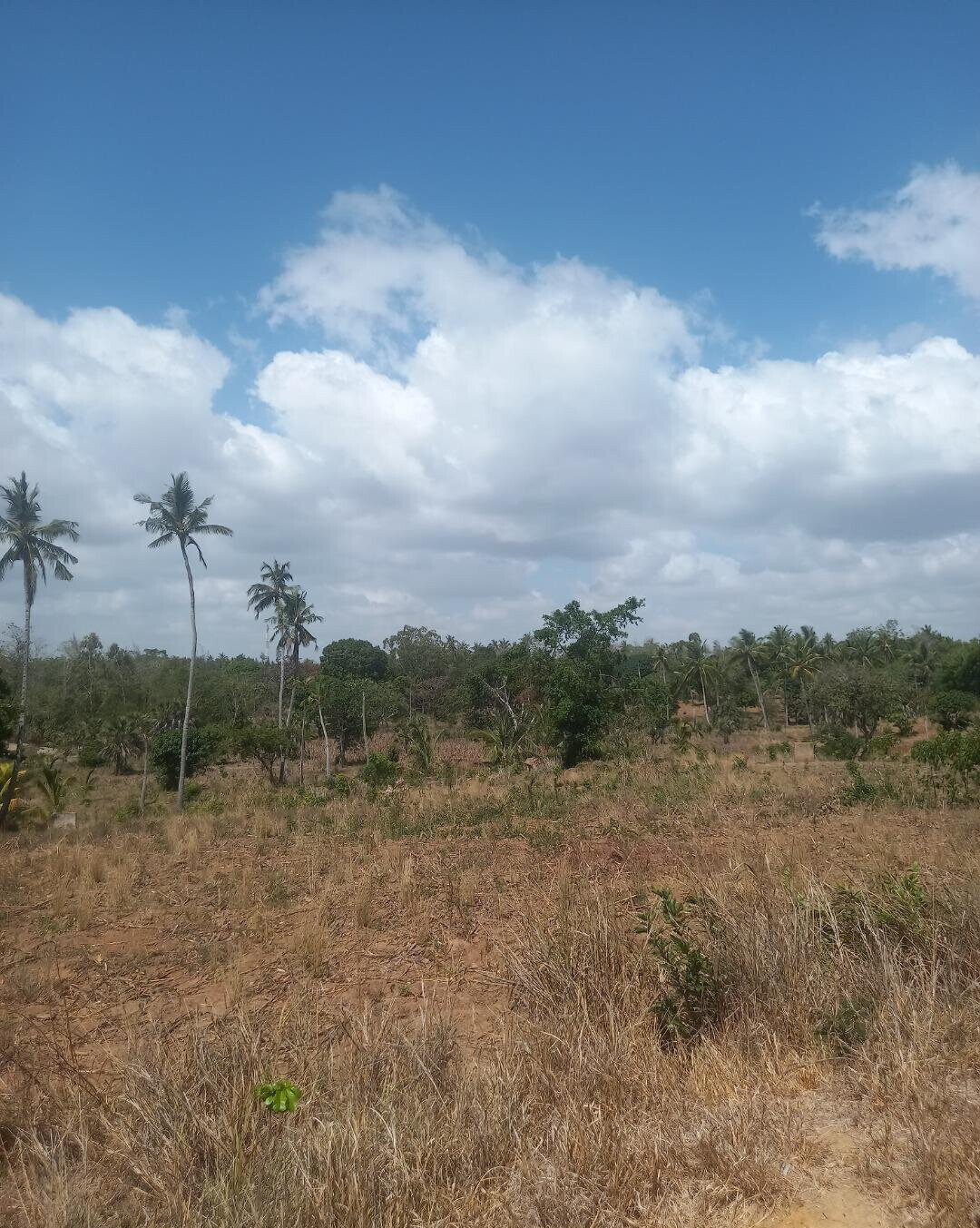 2-Acre Plot at KSh 7.5M