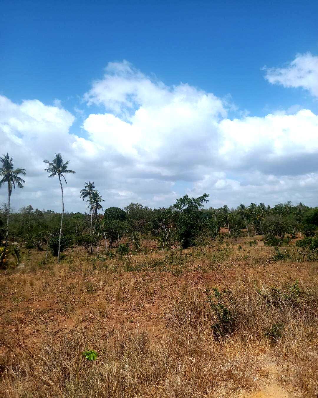 2-Acre Plot at KSh 7.5M