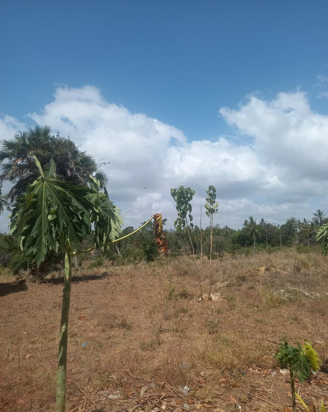 2-Acre Plot at KSh 7.5M