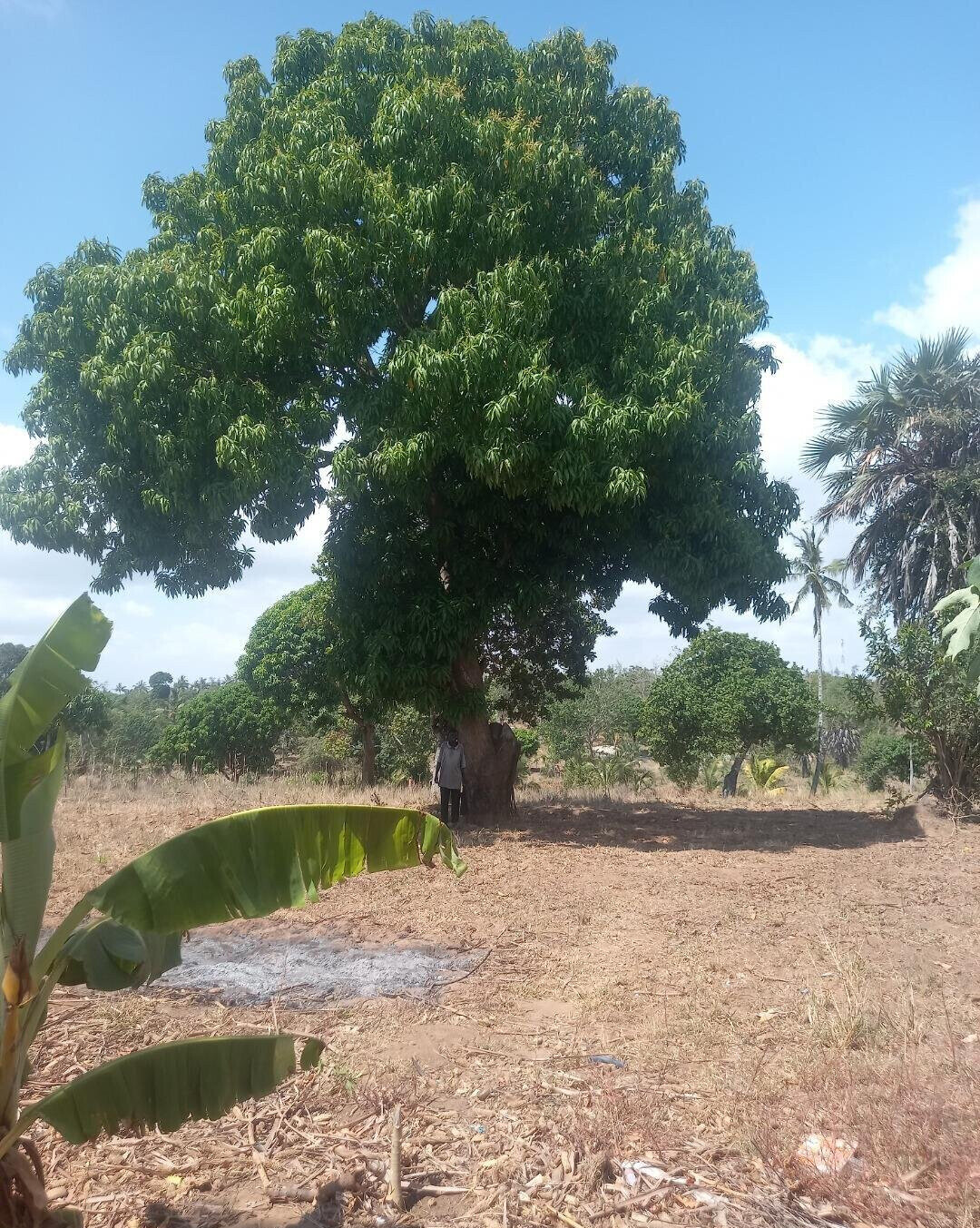2-Acre Plot at KSh 7.5M