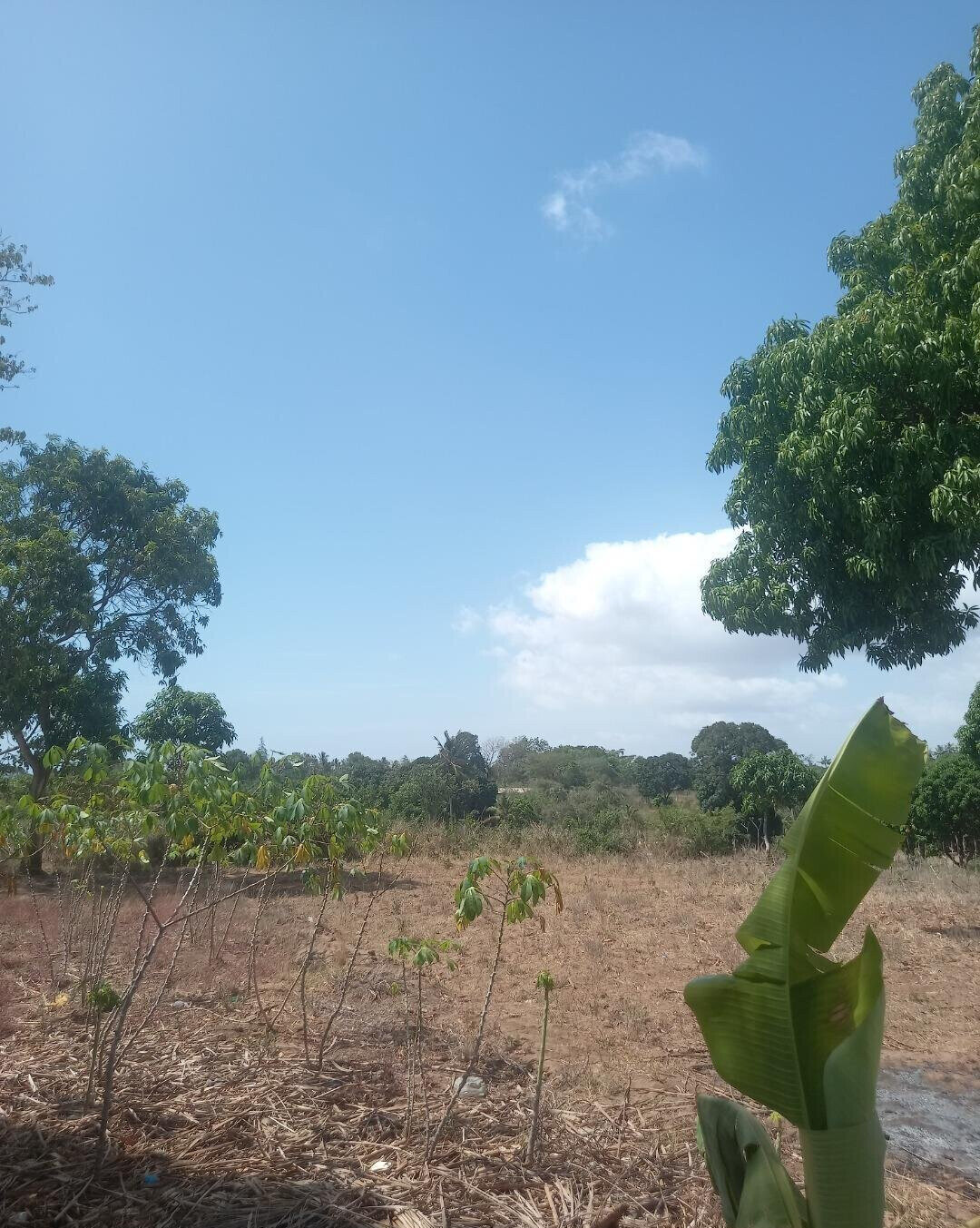 2-Acre Plot at KSh 7.5M