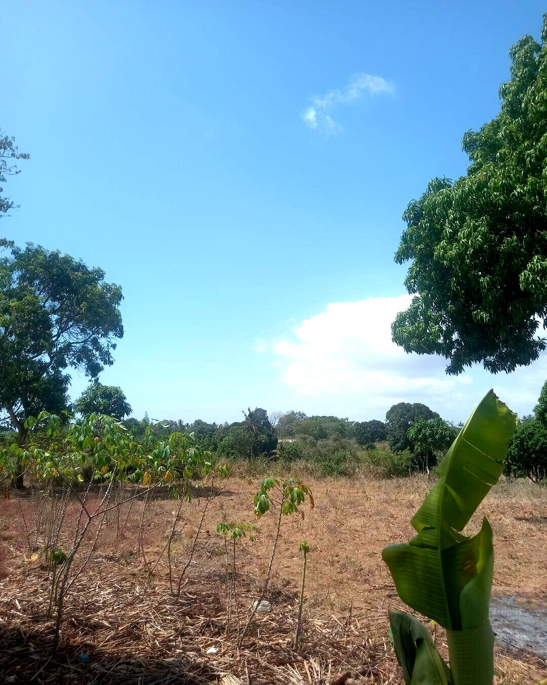 2-Acre Plot at KSh 7.5M