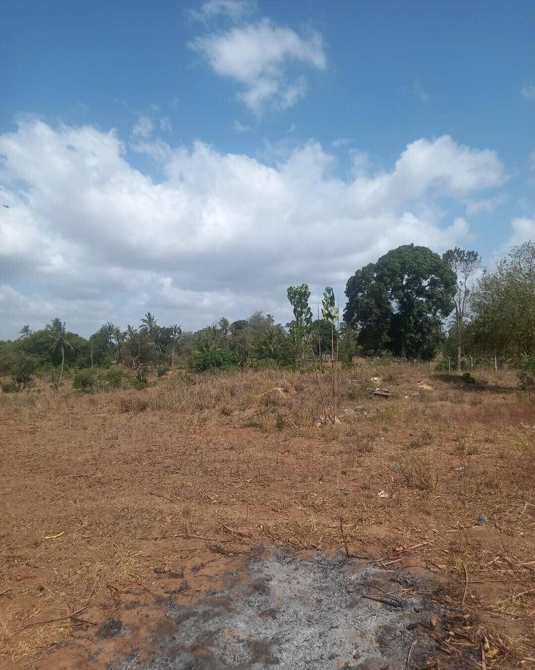 2-Acre Plot at KSh 7.5M